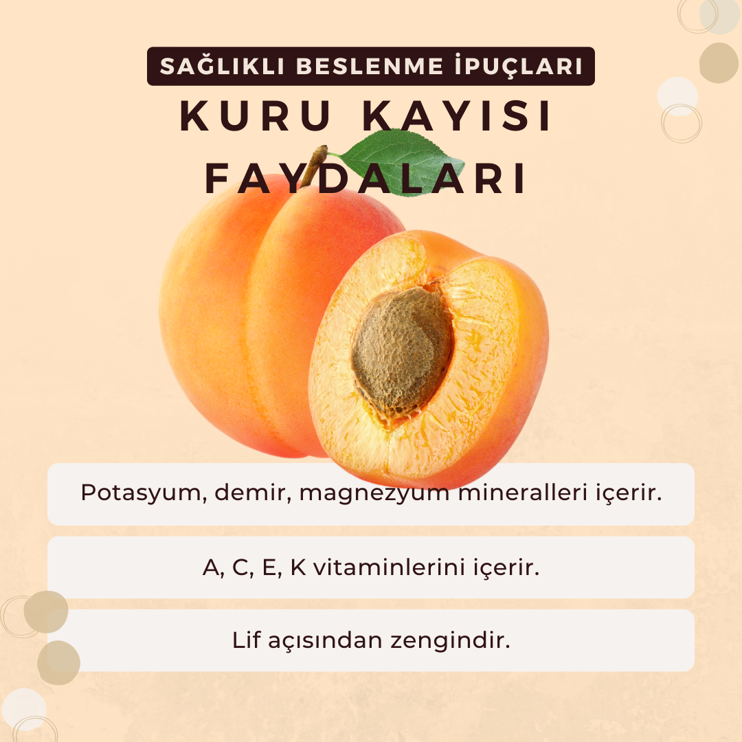 Kuru Kayısı