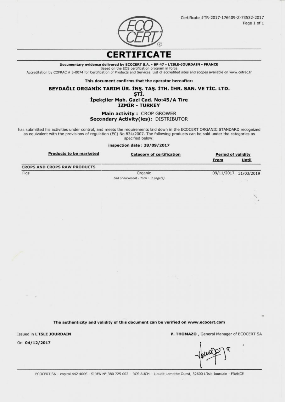 Sertifika 6